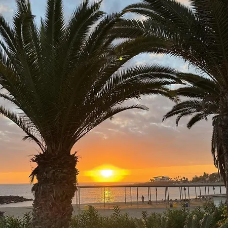 Nacar Golden By Deihu Experiences * Los Cristianos (Tenerife)